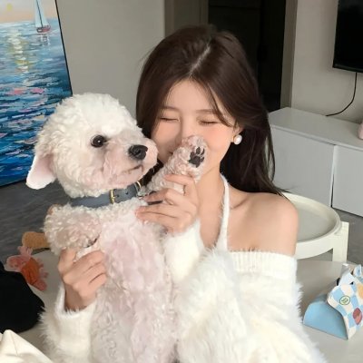 小岛奇谭